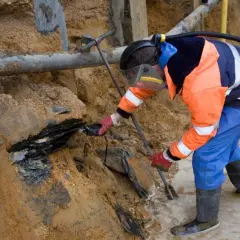 Bioremediacja - na czym polega ten rodzaj remediacji?