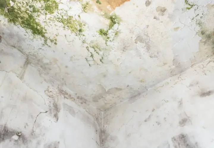Ile schnie strop po zalaniu? Kluczowe czynniki i metody osuszania