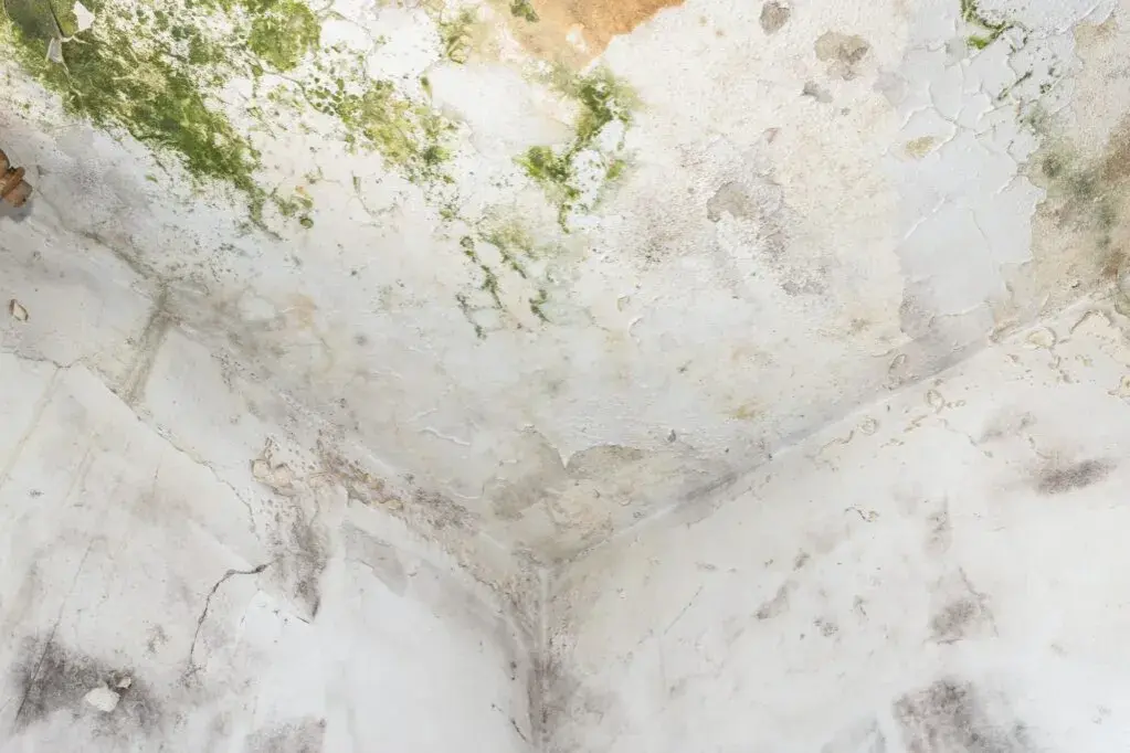 Ile schnie strop po zalaniu? Kluczowe czynniki i metody osuszania